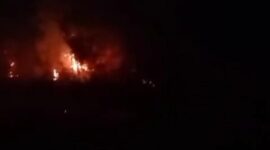 Kebakaran hutan dan lahan (karhutla) teridentifikasi di wilayah Kabupaten Karimun, Provinsi Kepuluaan Riau. (Dok. BPBD)